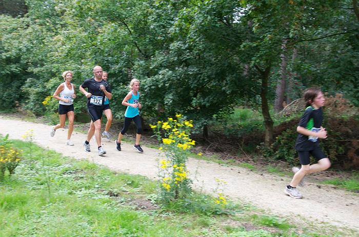 7 km - 2 084